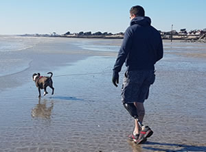 Dog Walking on the Beach